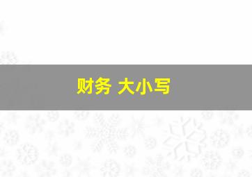 财务 大小写